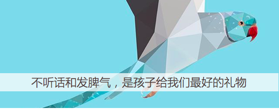 我们是如何被“情绪管理”一叶障目的？