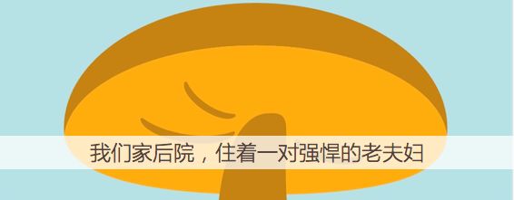 姥姥和奶奶们的爱与怕 姥姥和奶奶们的爱与怕