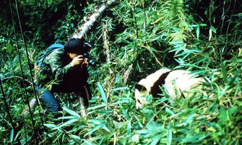 我在野外“长大”：和保护生物学家吕植聊成长