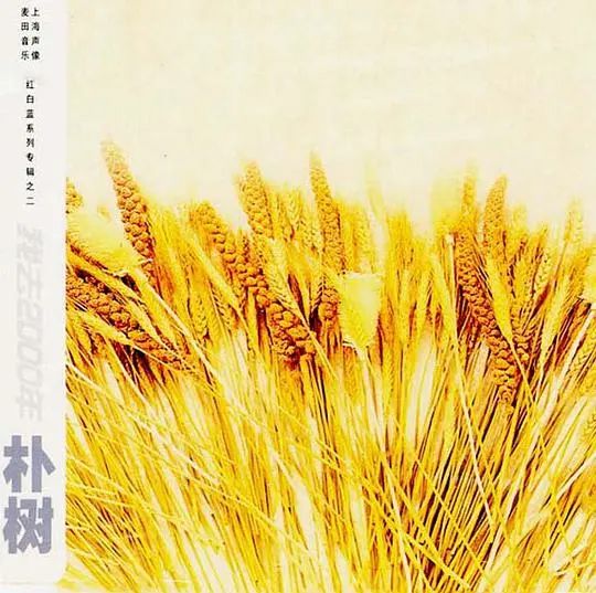 再见，奄奄一息的朴树