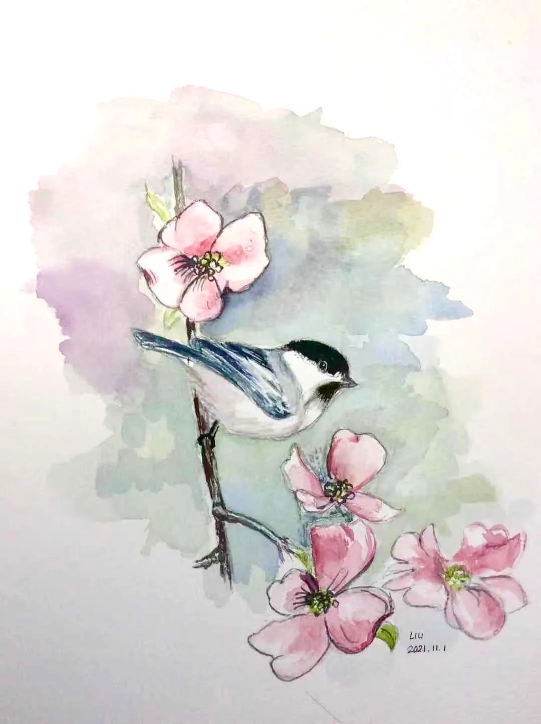 birdWatching