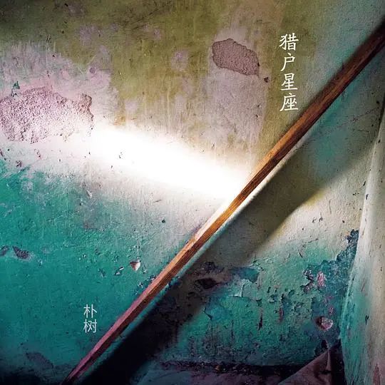 再见，奄奄一息的朴树