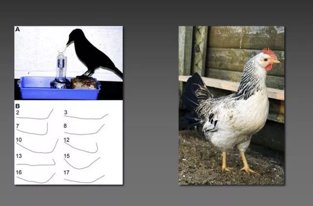 你的孩子还能不能愉快地玩耍？