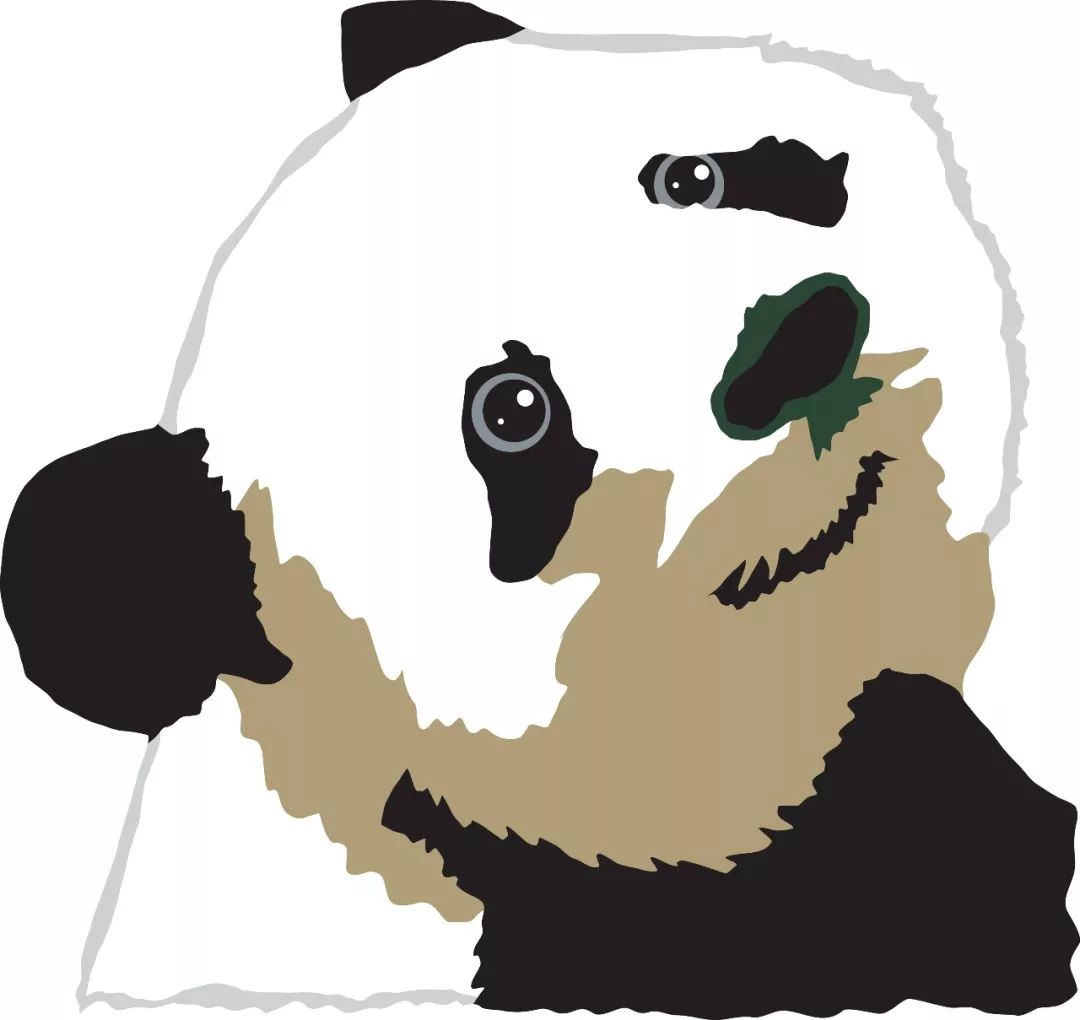 我在野外“长大”：和保护生物学家吕植聊成长