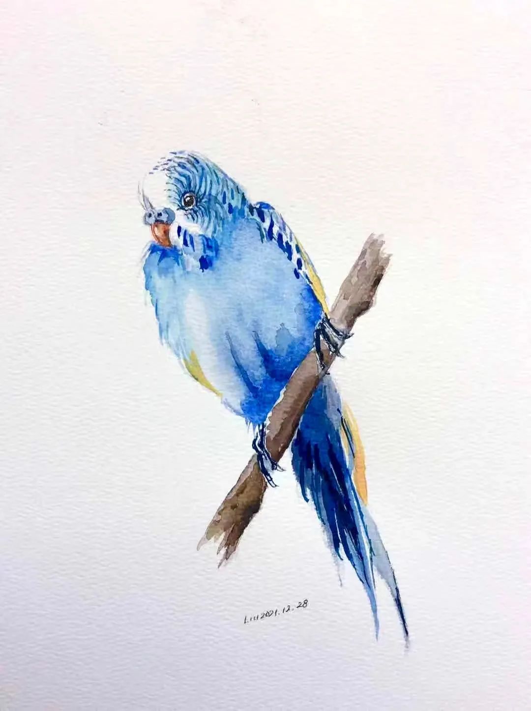 birdWatching