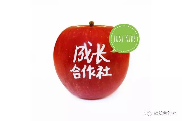孩子如何成功？和你想的一样，又不太一样