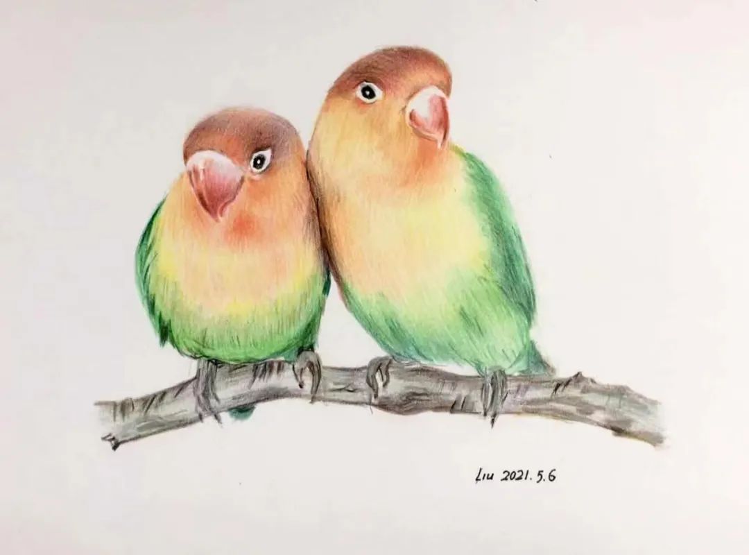 birdWatching