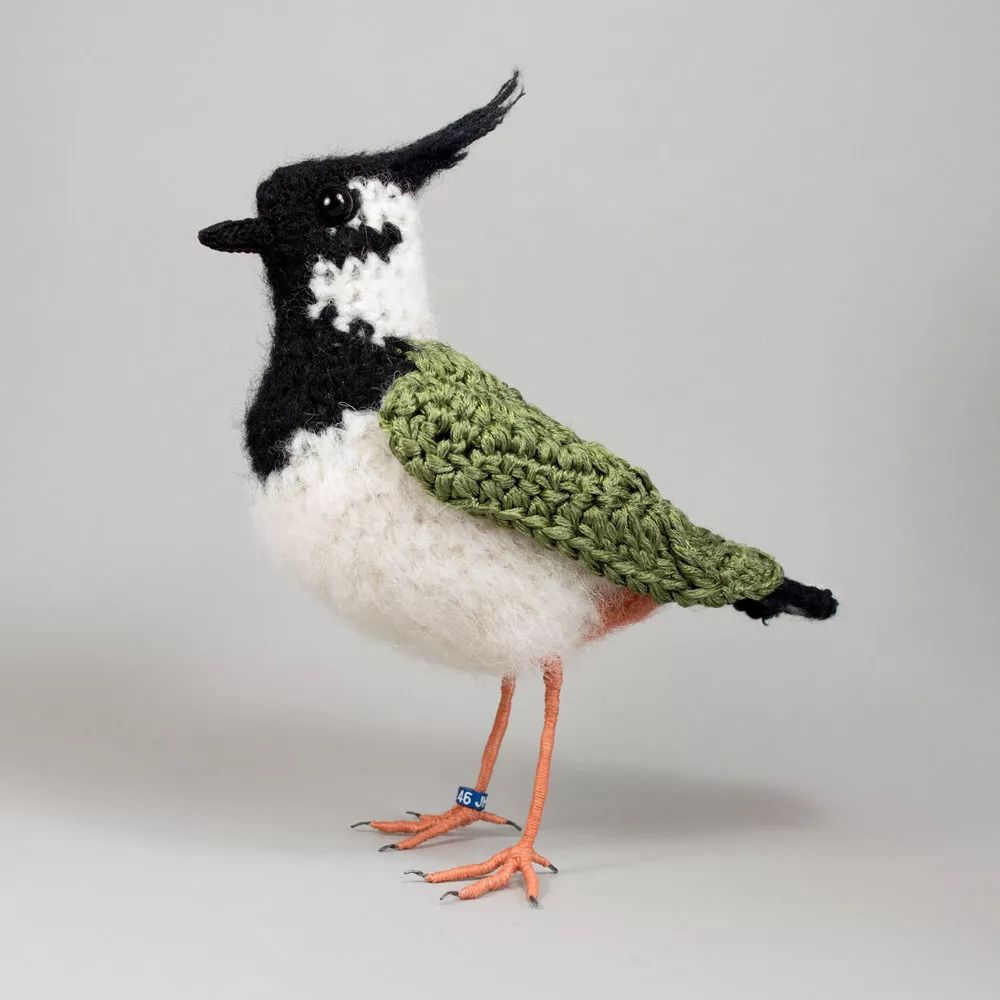 birdWatching