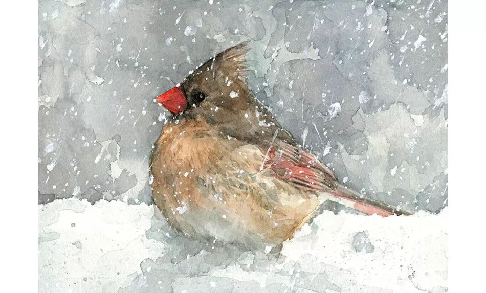birdWatching