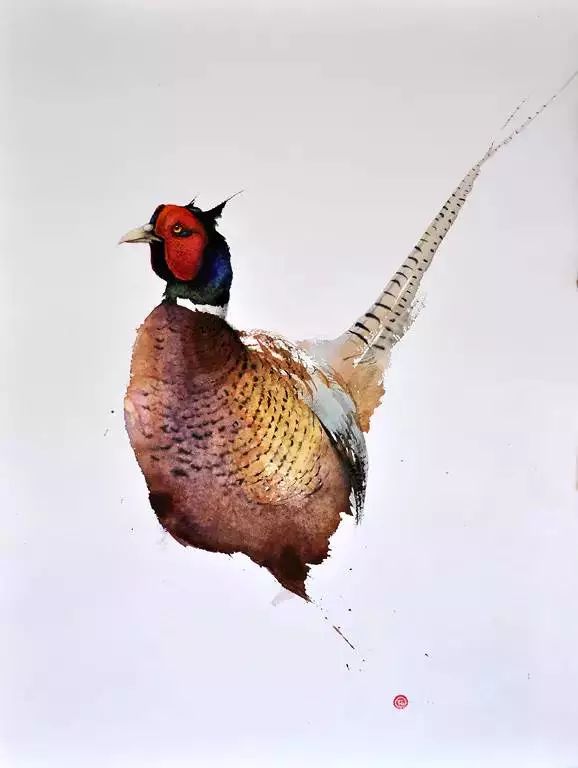 birdWatching