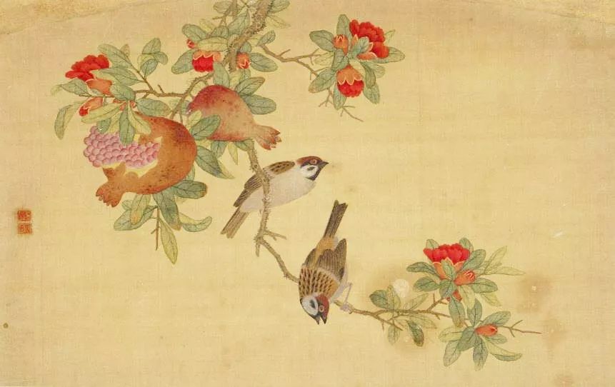 birdWatching