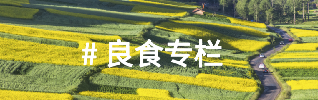 良食专栏 | 疫情下,我所亲历的美国食农体系危机和创新 良食专栏 | 疫情下,我所亲历的美国食农体系危机和创新