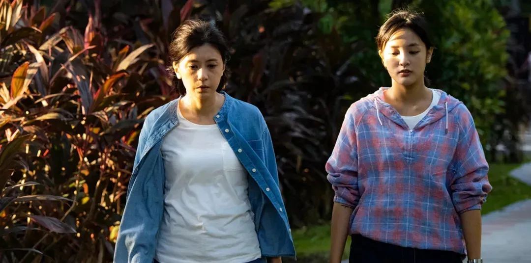 40岁后人生重来，普通女孩从贾静雯身上学什么？