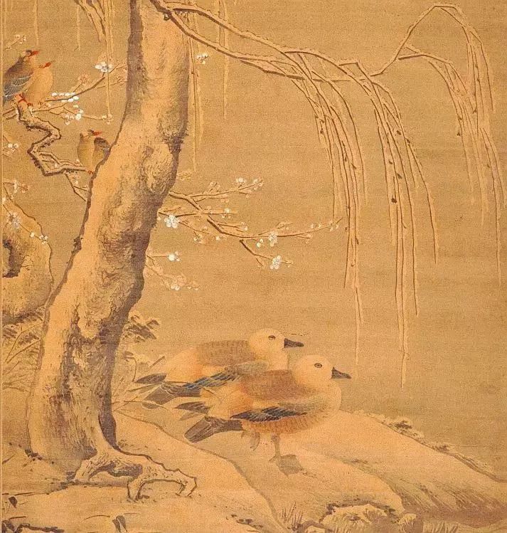 birdWatching