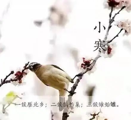 小寒 | 历代风俗与各地饮食传统 小寒 | 历代风俗与各地饮食传统