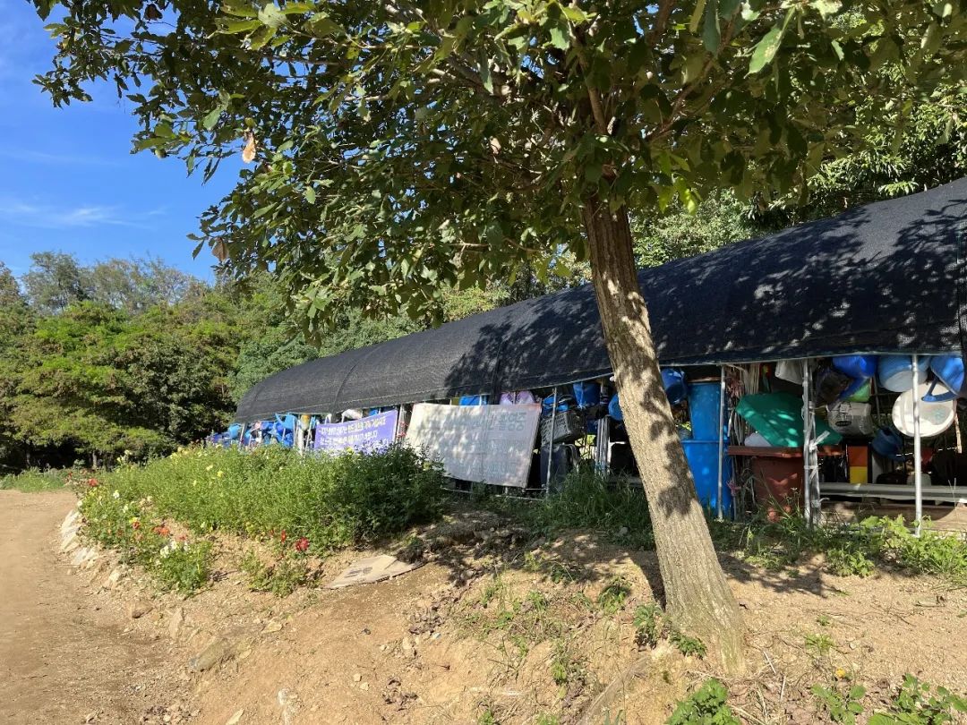 我在首尔都市农园种菜:从田园饮食到田园戏剧,菜地是我们融入城市的方法 | 良食专栏 我在首尔都市农园种菜:从田园饮食到田园戏剧,菜地是我们融入城市的方法 | 良食专栏