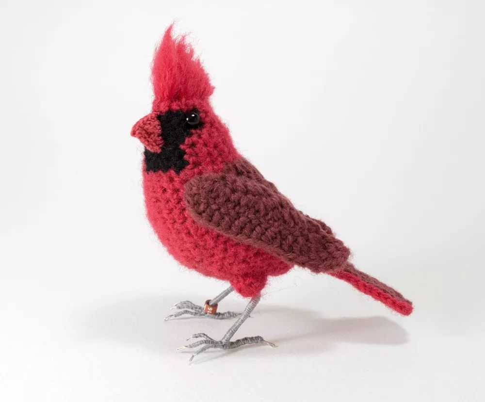birdWatching