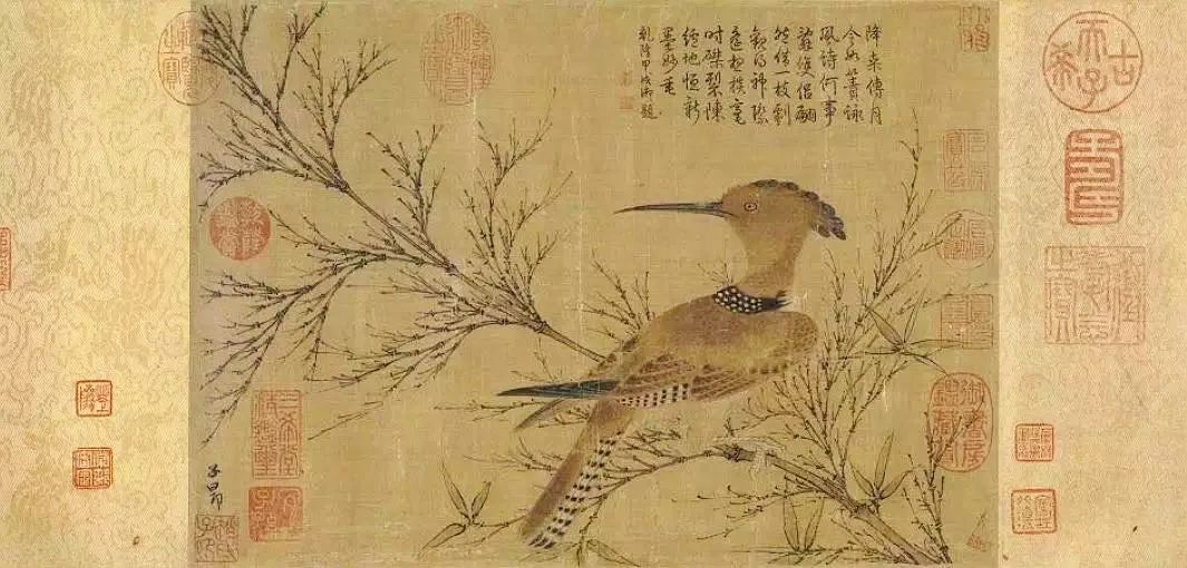 birdWatching