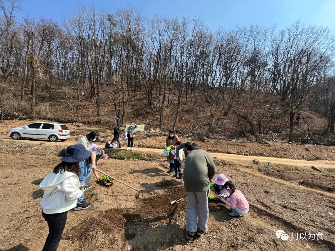 我在首尔都市农园种菜：从田园饮食到田园戏剧，菜地是我们融入城市的方法 | 良食专栏
