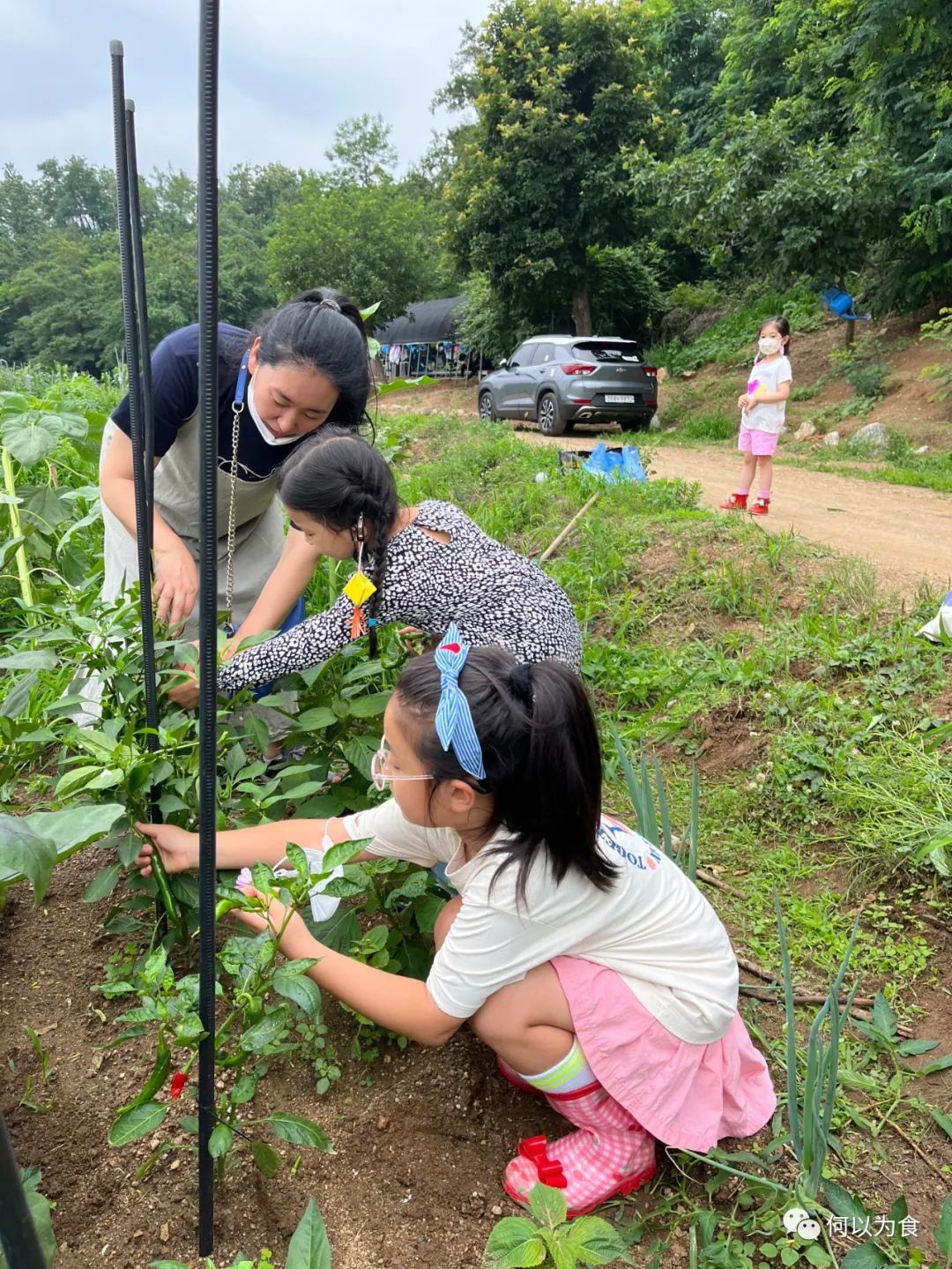 我在首尔都市农园种菜：从田园饮食到田园戏剧，菜地是我们融入城市的方法 | 良食专栏