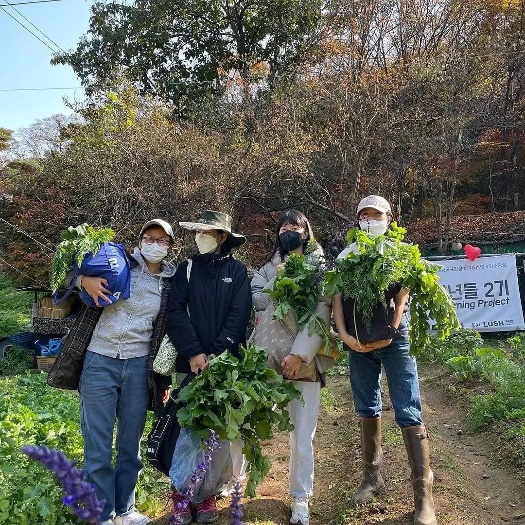 韩国“感谢土地”农场,用碳素农业拯救地球 | 良食专栏 韩国“感谢土地”农场,用碳素农业拯救地球 | 良食专栏