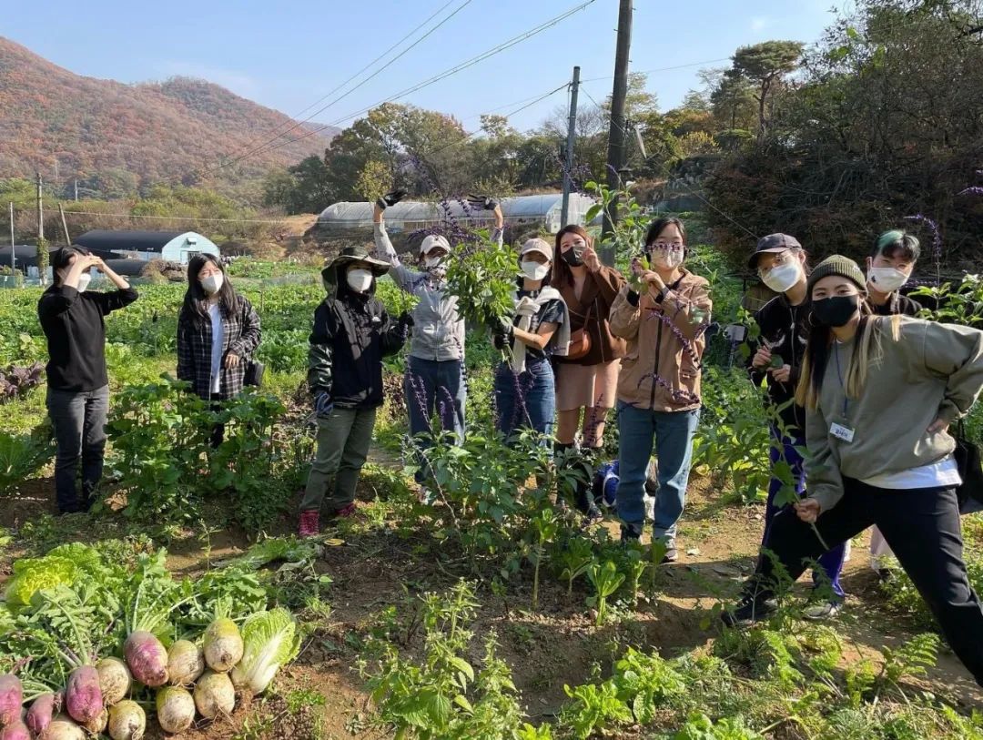 韩国“感谢土地”农场,用碳素农业拯救地球 | 良食专栏 韩国“感谢土地”农场,用碳素农业拯救地球 | 良食专栏