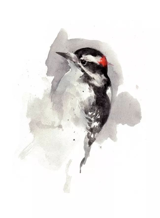 birdWatching