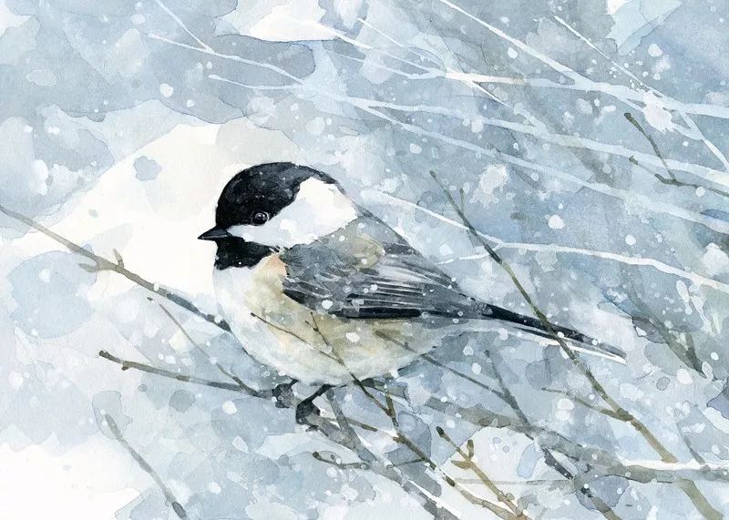 birdWatching