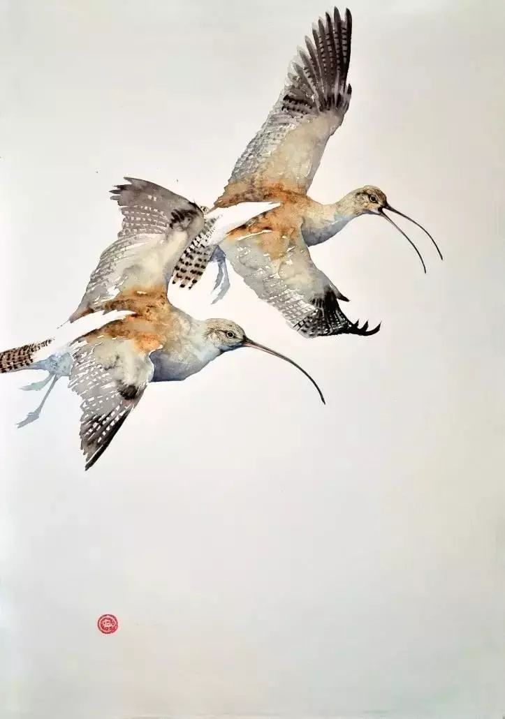 birdWatching