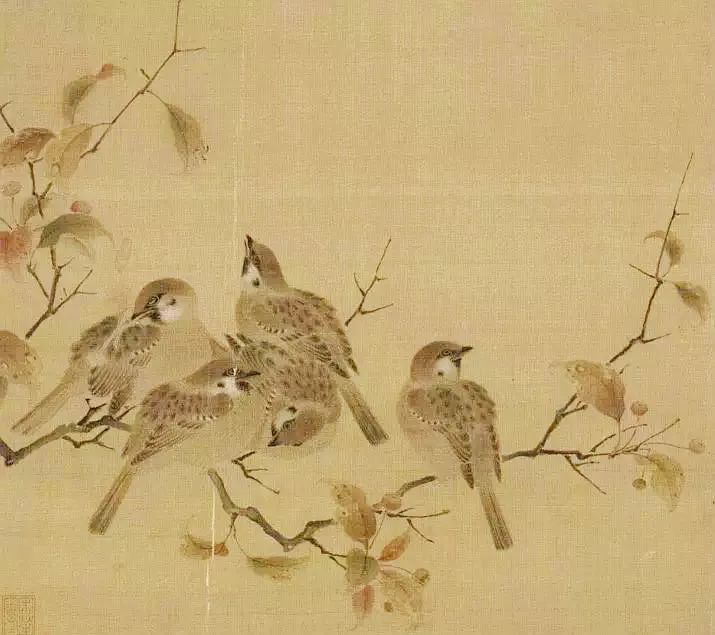 birdWatching