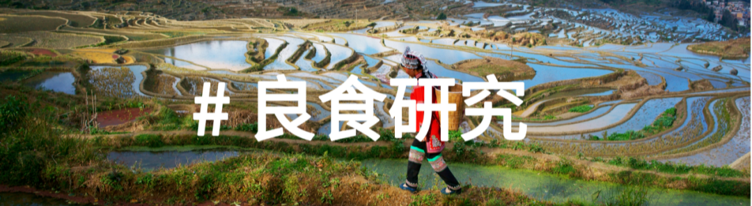 良食专栏 | 疫情下,我所亲历的美国食农体系危机和创新 良食专栏 | 疫情下,我所亲历的美国食农体系危机和创新