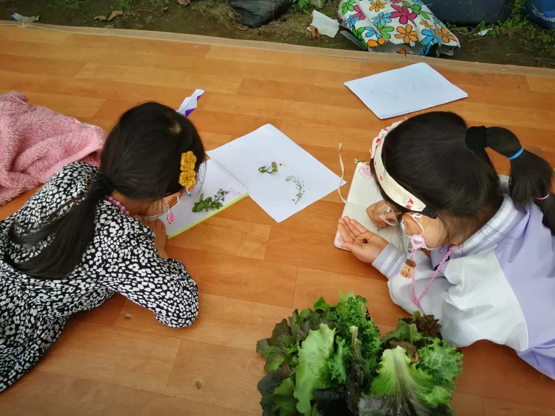 我在首尔都市农园种菜:从田园饮食到田园戏剧,菜地是我们融入城市的方法 | 良食专栏 我在首尔都市农园种菜:从田园饮食到田园戏剧,菜地是我们融入城市的方法 | 良食专栏