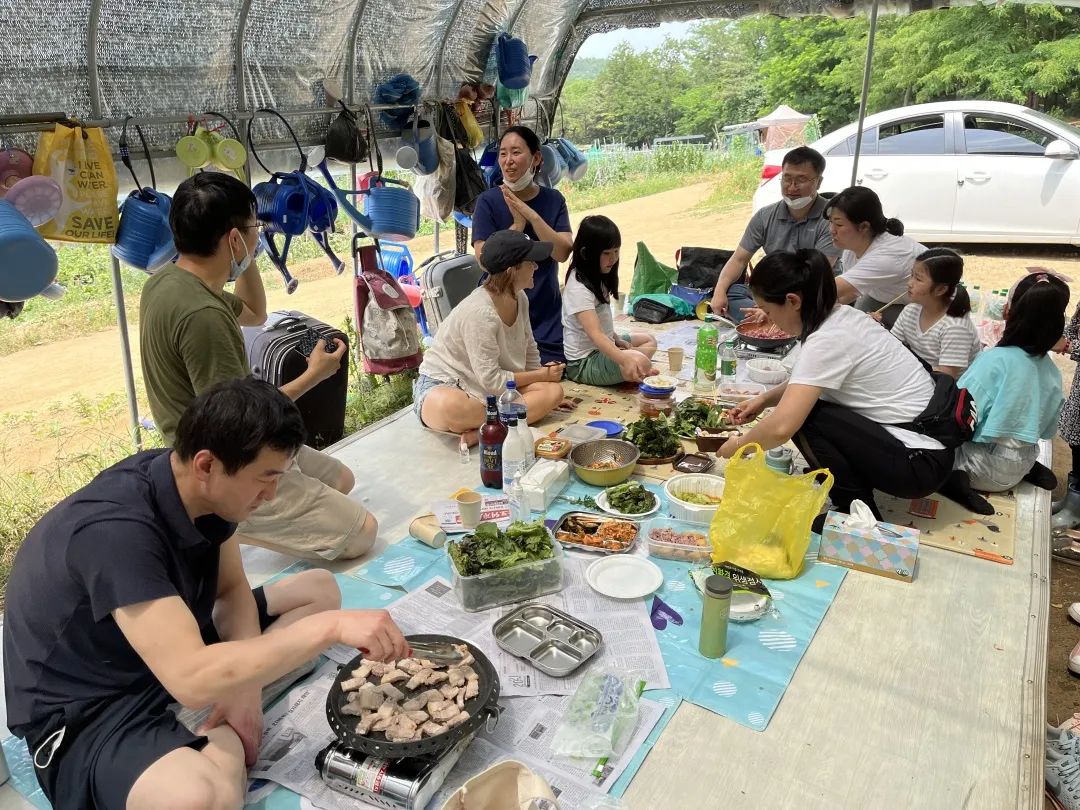 我在首尔都市农园种菜:从田园饮食到田园戏剧,菜地是我们融入城市的方法 | 良食专栏 我在首尔都市农园种菜:从田园饮食到田园戏剧,菜地是我们融入城市的方法 | 良食专栏