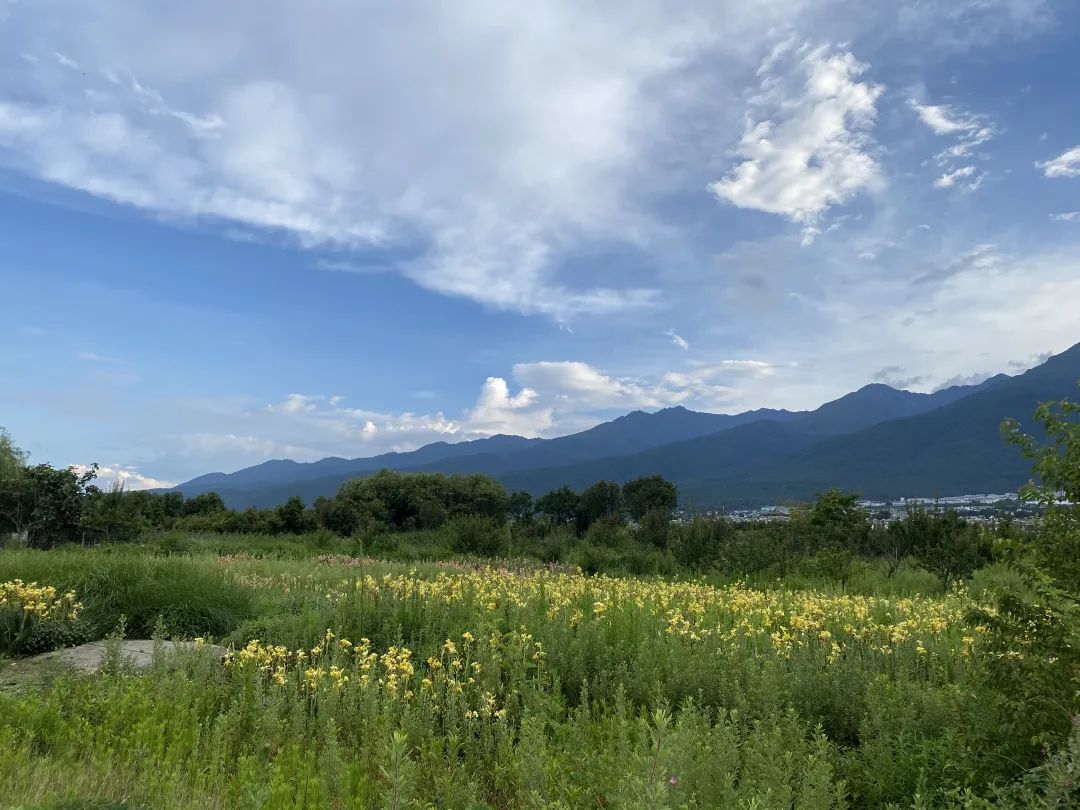 离开城市,去大理躺平,是“下沉式堕落”吗? 离开城市,去大理躺平,是“下沉式堕落”吗?