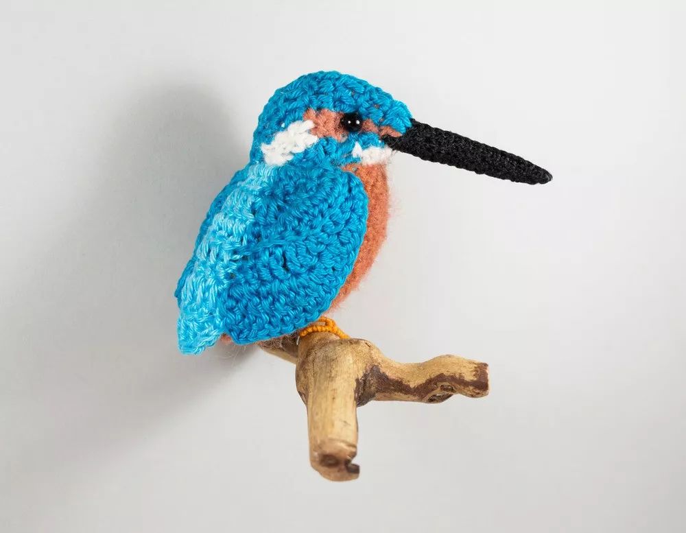 birdWatching