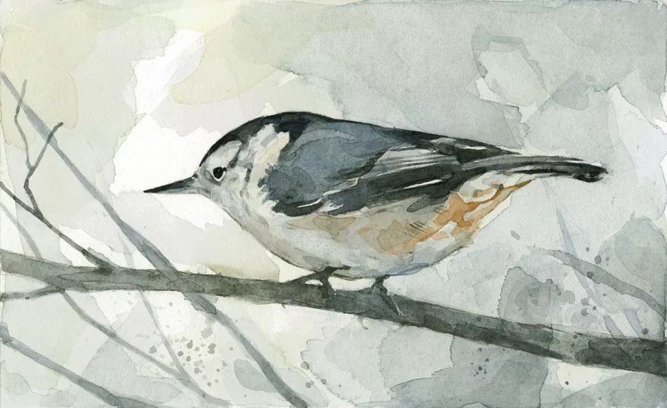 birdWatching