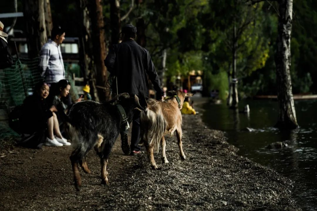 泸沽湖|摩梭人的梦幻传说 泸沽湖|摩梭人的梦幻传说