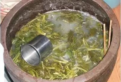 春分 | 春菜食俗的背后,是逐渐消失的生物多样性食材 春分 | 春菜食俗的背后,是逐渐消失的生物多样性食材
