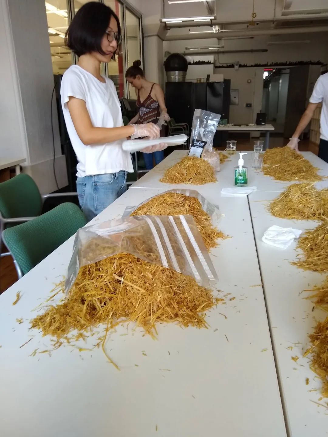 从地下室种蘑菇到纽约总督岛驻留艺术家，城市农业还可以这么玩？| 良食专栏