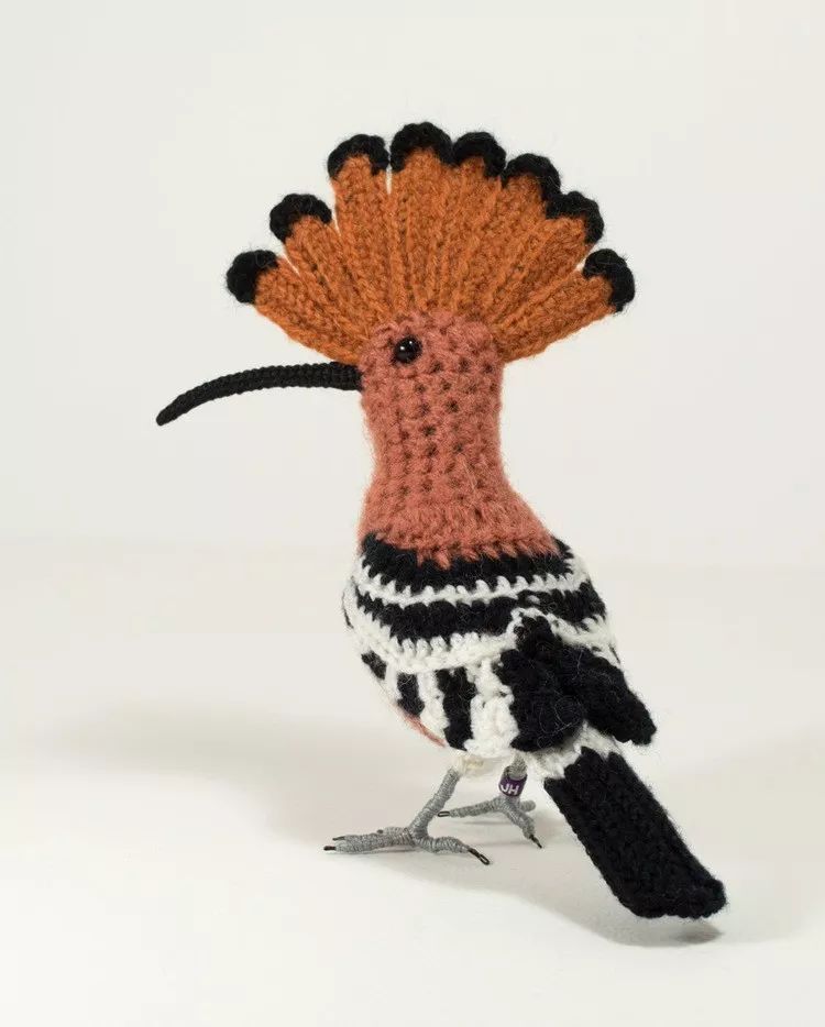 birdWatching