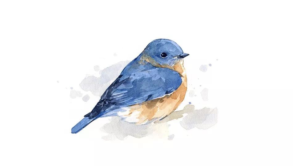 birdWatching