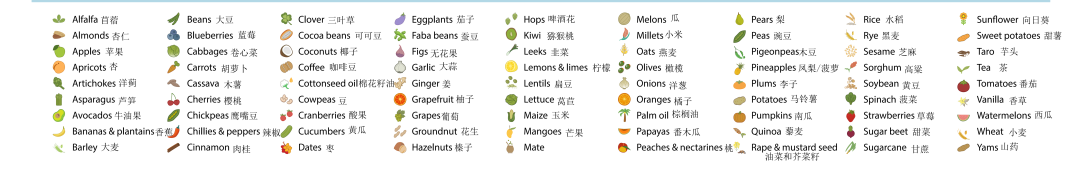 立春|从春盘习俗看古人的春节健康蔬食 立春|从春盘习俗看古人的春节健康蔬食