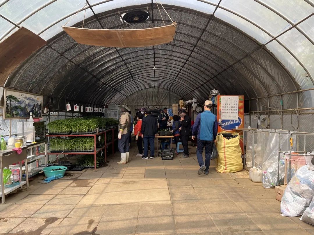 我在首尔都市农园种菜:从田园饮食到田园戏剧,菜地是我们融入城市的方法 | 良食专栏 我在首尔都市农园种菜:从田园饮食到田园戏剧,菜地是我们融入城市的方法 | 良食专栏