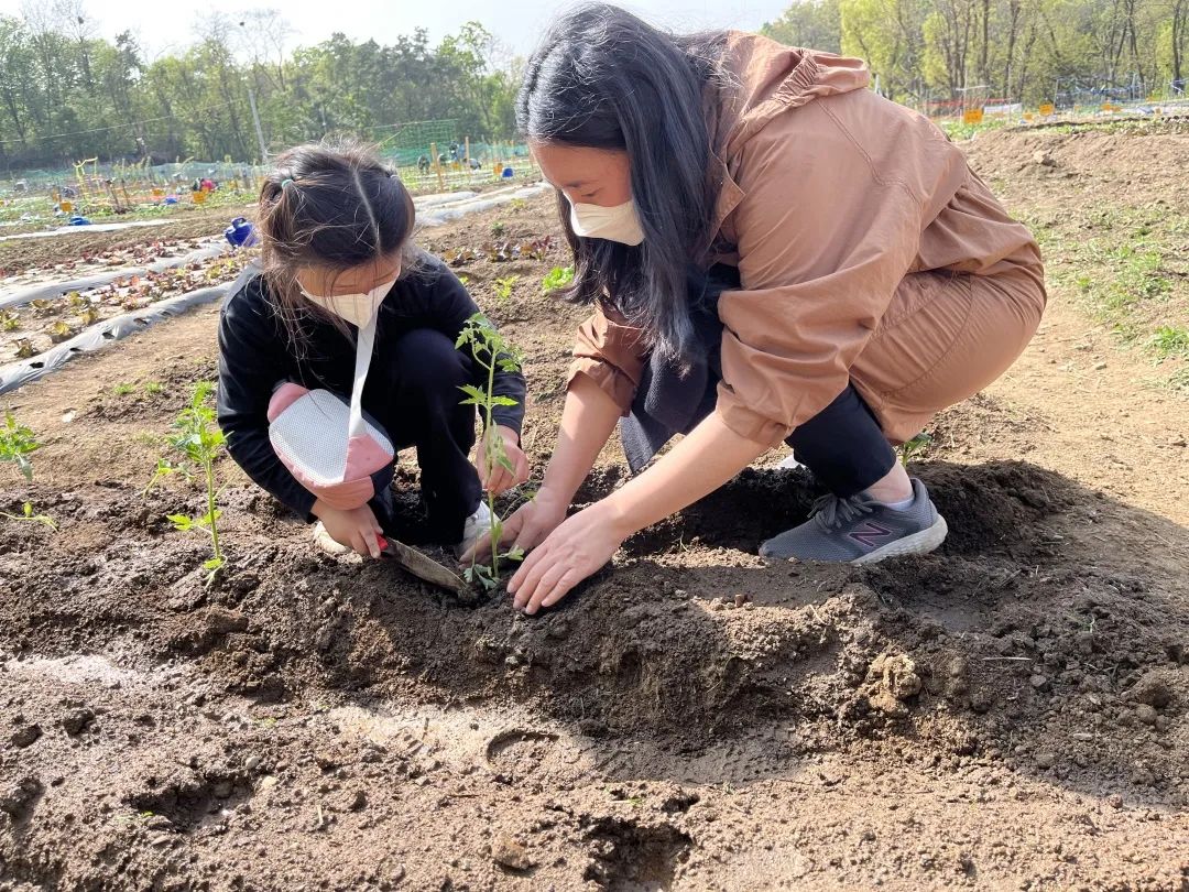 我在首尔都市农园种菜:从田园饮食到田园戏剧,菜地是我们融入城市的方法 | 良食专栏 我在首尔都市农园种菜:从田园饮食到田园戏剧,菜地是我们融入城市的方法 | 良食专栏