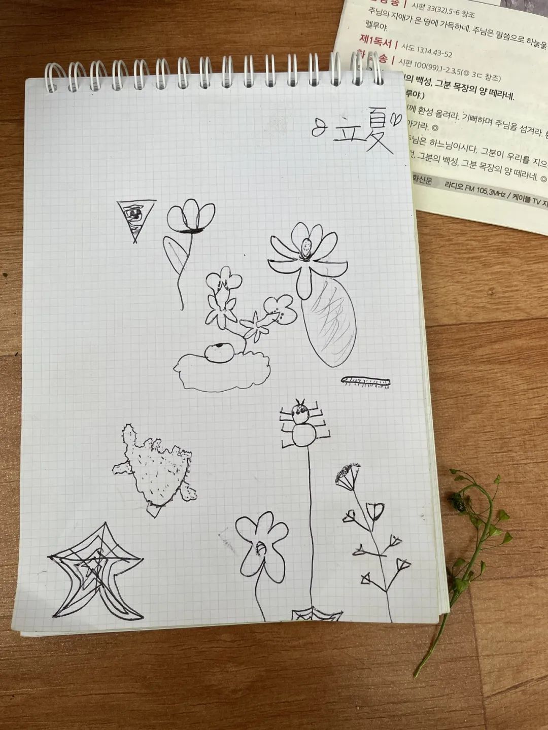 我在首尔都市农园种菜:从田园饮食到田园戏剧,菜地是我们融入城市的方法 | 良食专栏 我在首尔都市农园种菜:从田园饮食到田园戏剧,菜地是我们融入城市的方法 | 良食专栏