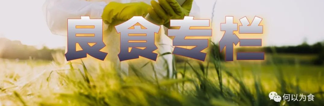 我在首尔都市农园种菜:从田园饮食到田园戏剧,菜地是我们融入城市的方法 | 良食专栏 我在首尔都市农园种菜:从田园饮食到田园戏剧,菜地是我们融入城市的方法 | 良食专栏