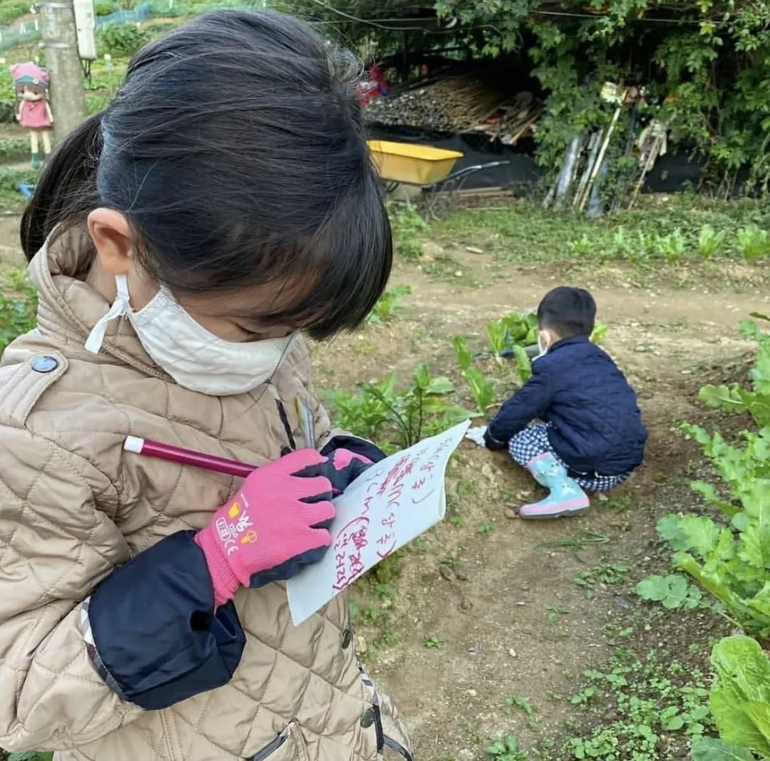 韩国“感谢土地”农场,用碳素农业拯救地球 | 良食专栏 韩国“感谢土地”农场,用碳素农业拯救地球 | 良食专栏