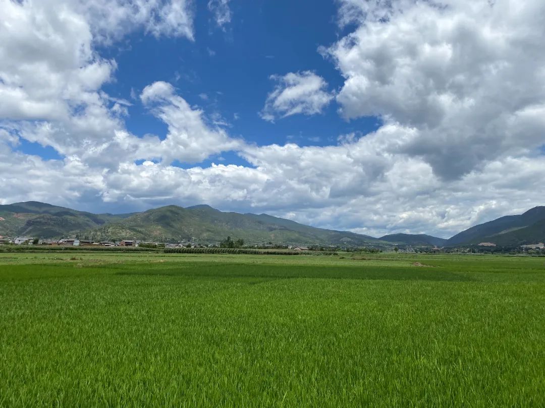 大理和沙溪，那些离开城市的隐世者们