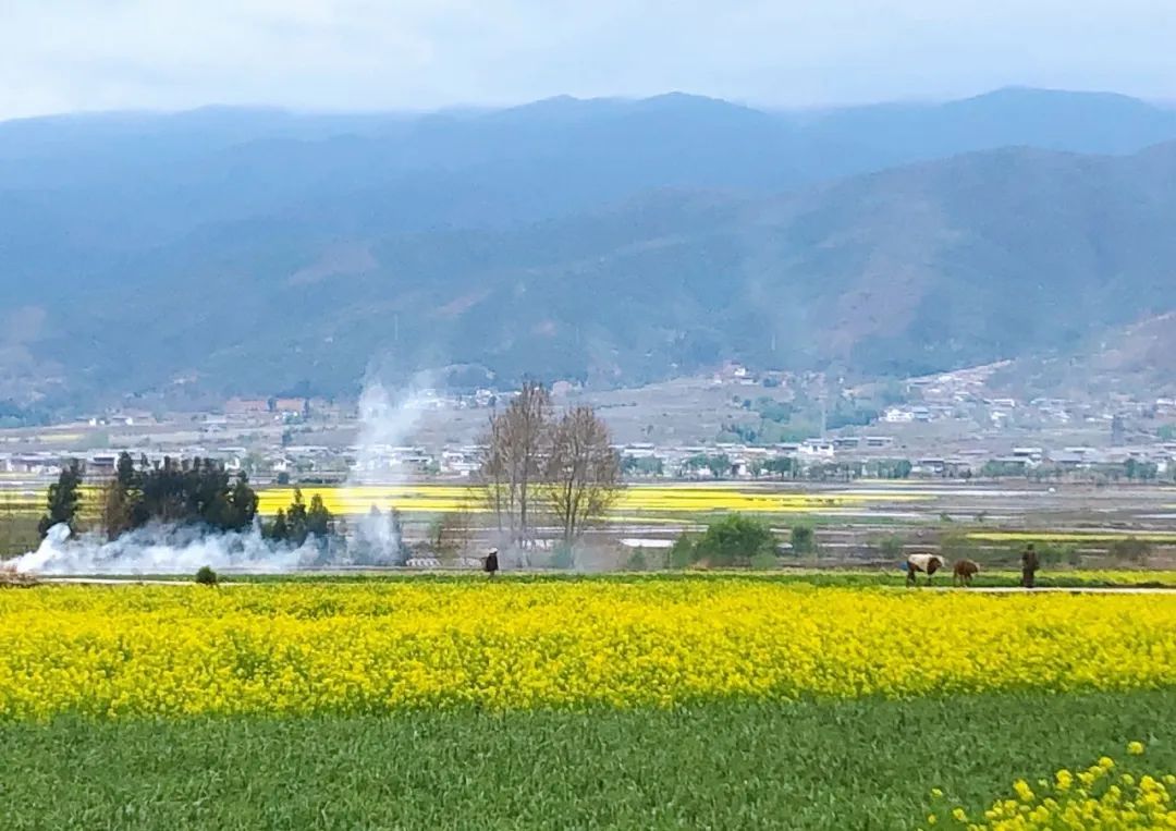大理和沙溪，那些离开城市的隐世者们