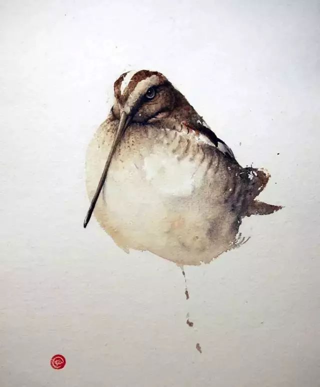 birdWatching